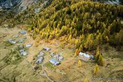 DJI_0710