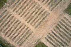 DJI_0587