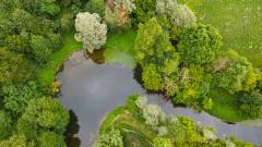 DJI_0638